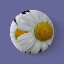 Daisy buttons