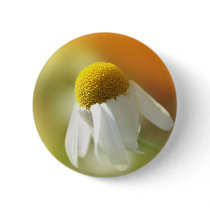 Daisy Buttons