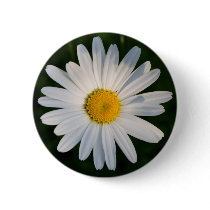 Daisy Button by Snappler73 Daisy Button