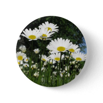 daisy pinback button by jenniekurono
