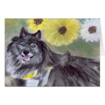 Daisy cards