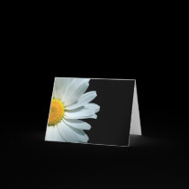 Daisy cards by DeepMountain Daisy cards