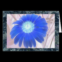 DAISY CARD