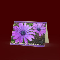 Daisy Card Blue Flowers Custom Greeting Cards cards