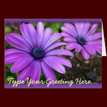 Daisy Card Blue Flowers Custom Greeting Cards cards