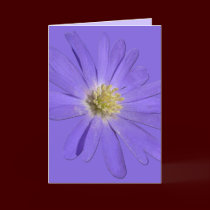 Daisy Card Blue Flowers Greeting Card Blank cards