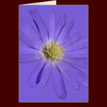 Daisy Card Blue Flowers Greeting Card Blank cards