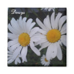 Daisy card/ thank you card magnets