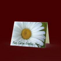 Daisy Card Wild Flowers Custom Greeting Cards cards