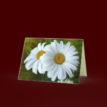 Daisy Card Wild Flowers Custom Greeting Cards cards