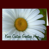 Daisy Card Wild Flowers Custom Greeting Cards cards
