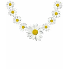 Daisy Chain Shirt shirt