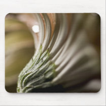 Daisy Close-up Series mousepads