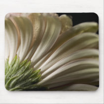 Daisy Close-up Series mousepads