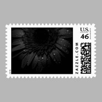 Daisy Close-up Series postage by ChristianTravers Daisy Close-up Series postage
