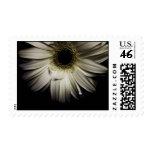 Daisy Close-up Series Postage