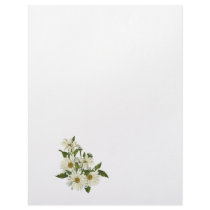 Daisy Cluster Personalized Letterhead