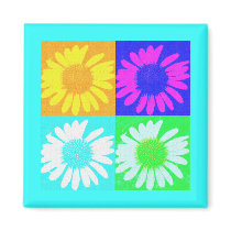 Daisy Crazy - 4 Daisies magnets