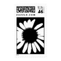 Daisy Crazy - Black & White Daisy Stamp