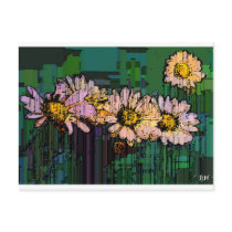 Daisy Cube, JLH Post Cards