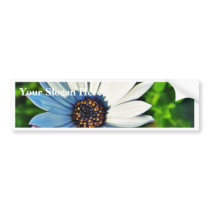 Daisy Daisies Flowers Petals bumper stickers by lifesphere Daisy Daisies Flowers Petals bumper stickers