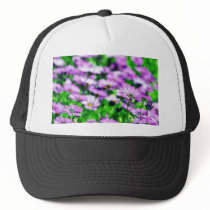 Daisy Daisies Flowers Purple hats by lifesphere Daisy Daisies Flowers Purple hats