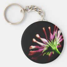 Daisy Daisies Stems Key Chain