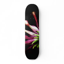 Daisy Daisies Stems skateboards
