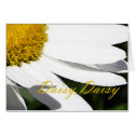 Daisy, Daisy cards