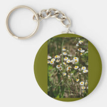 Daisy, Daisy Key Chains