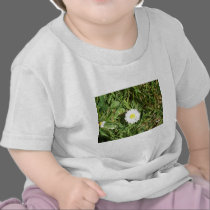 Daisy, daisy... t-shirts