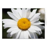 Daisy Darling Card