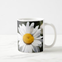 Daisy Darling Mugs