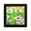 Daisy Day Gift Boxes