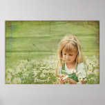 Daisy Daydreams Poster