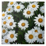 Daisy Decorative Tile