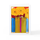 Daisy delight III cards