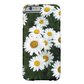 Daisy Delight iPhone 6 Case