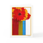Daisy delight IV cards
