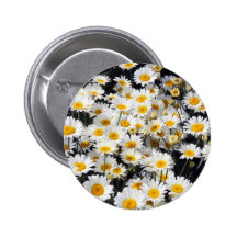 Daisy Delight Pinback Button