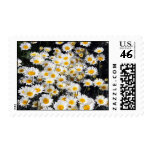 Daisy Delight Postage