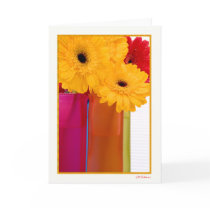 Daisy delight VI cards by drmilleranderson Daisy delight VI cards