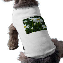 daisy pet clothing by pinkypetals daisy pet clothing