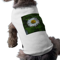 Daisy pet clothing by swkw11 Daisy pet clothing
