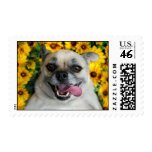 Daisy Dog stamp stamps