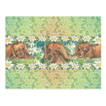 Daisy Dogs Dachshund Puppies Postcards