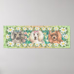 Daisy Dogs Toy Poodles Poster Print