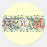 Daisy Dogs Toy Poodles Round Sticker