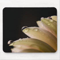 Daisy Droplet Series mousepads by ChristianTravers Daisy Droplet Series mousepads
