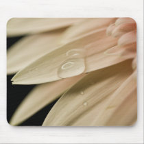 Daisy Droplet Series mousepads